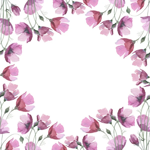 Kır çiçeği haşhaş çiçek çerçeve izole bir suluboya tarzında.