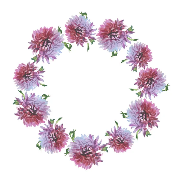 Wildflower Chryzantema Kwiat rama w stylu przypominającym akwarele na białym tle. — Zdjęcie stockowe