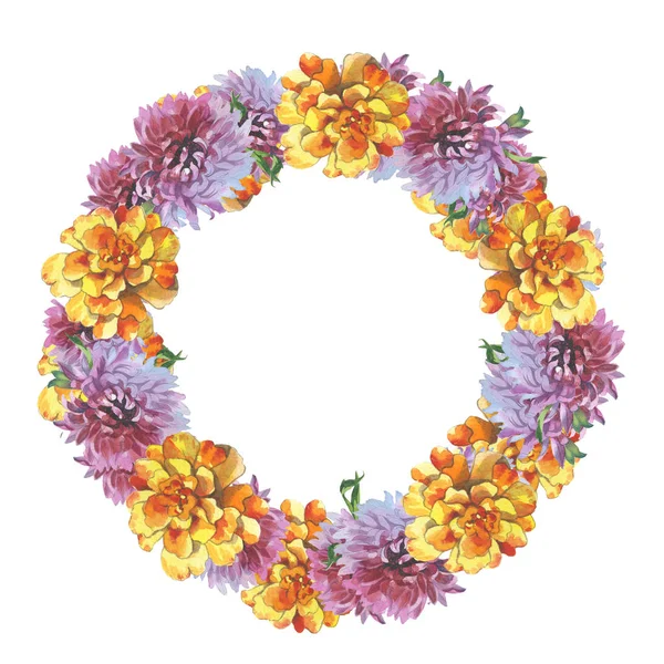 Wildflower chryzantéma květ rám ve stylu akvarelu, samostatný. — Stock fotografie