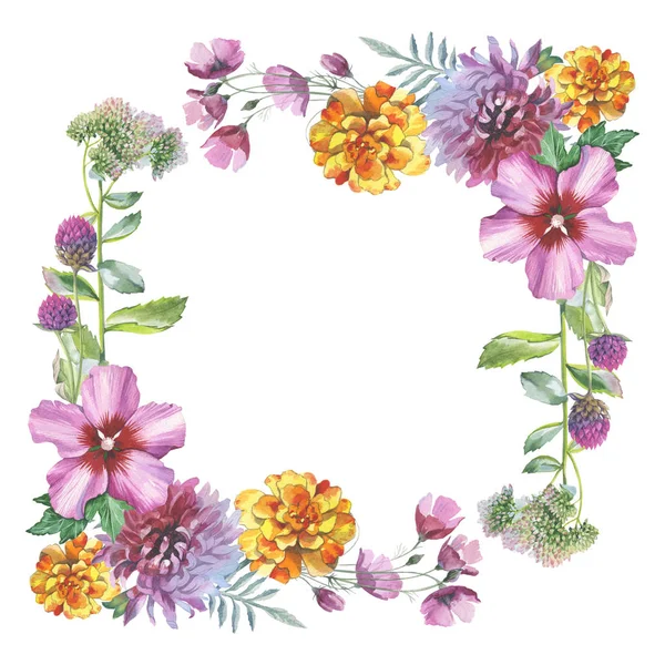 Дика квіткова рамка хризантеми в акварельному стилі ізольована . — стокове фото