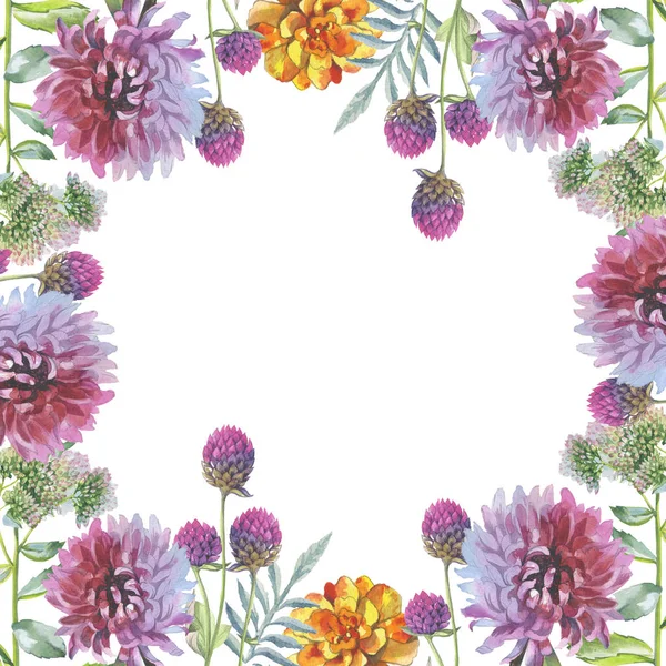 Kır çiçeği Kasımpatı çiçeği çerçeve izole bir suluboya tarzında.