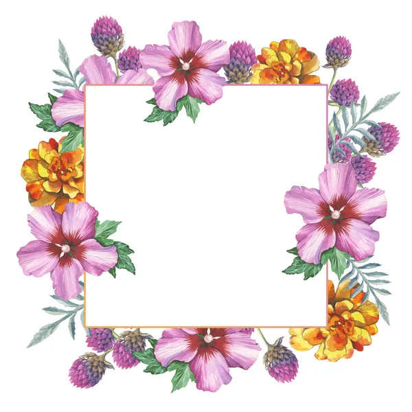 Wildflower marigold, hibiscus, gomphrena frame in a watercolor style isolated. — Stock Photo, Image