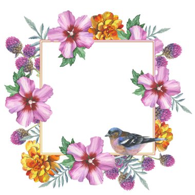 Kır çiçeği kadife çiçeği, ebegümeci, gomphrena çerçeve izole bir suluboya tarzında.