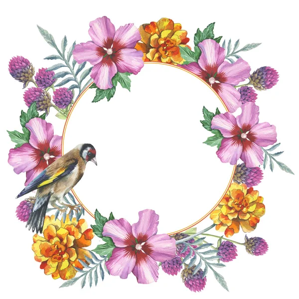 Wildflower marigold, hibiscus, gomphrena wreath in a watercolor style isolated. — Stock Photo, Image