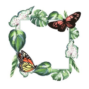 Tropikal Hawaii palmiye ağacı ve kelebekler çerçeve izole bir suluboya tarzında bırakır..