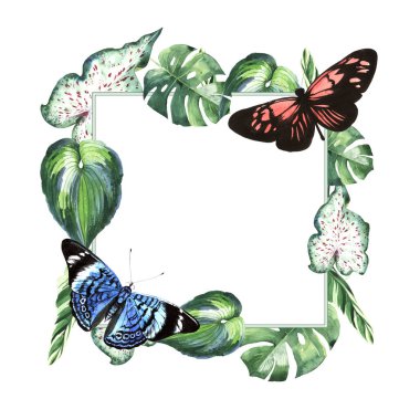 Tropikal Hawaii palmiye ağacı ve kelebekler çerçeve izole bir suluboya tarzında bırakır..
