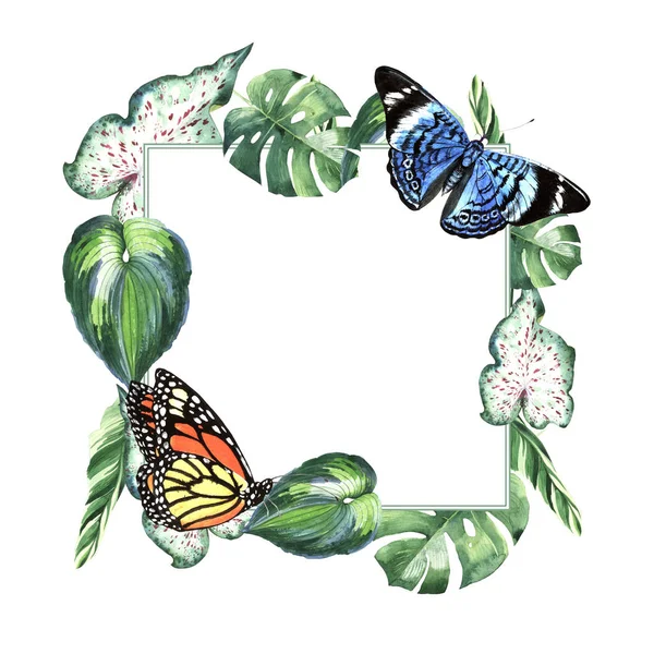 Tropical Hawaii leaves palm tree and butterflies frame in a watercolor style isolated. — Stock Photo, Image
