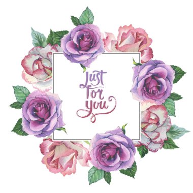 Kır çiçeği gül çiçek çerçeve izole bir suluboya tarzında.