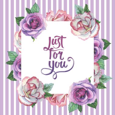 Kır çiçeği gül çiçek çerçeve izole bir suluboya tarzında.