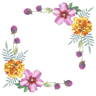 Hibiscus gül ve gomphrena çelenk çerçeve süsleme suluboya çizim çiçek.