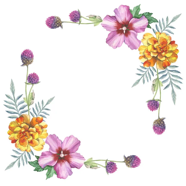 Gomphrena とハイビスカス バラ花水彩図面で花輪のフレーム飾り. — ストック写真