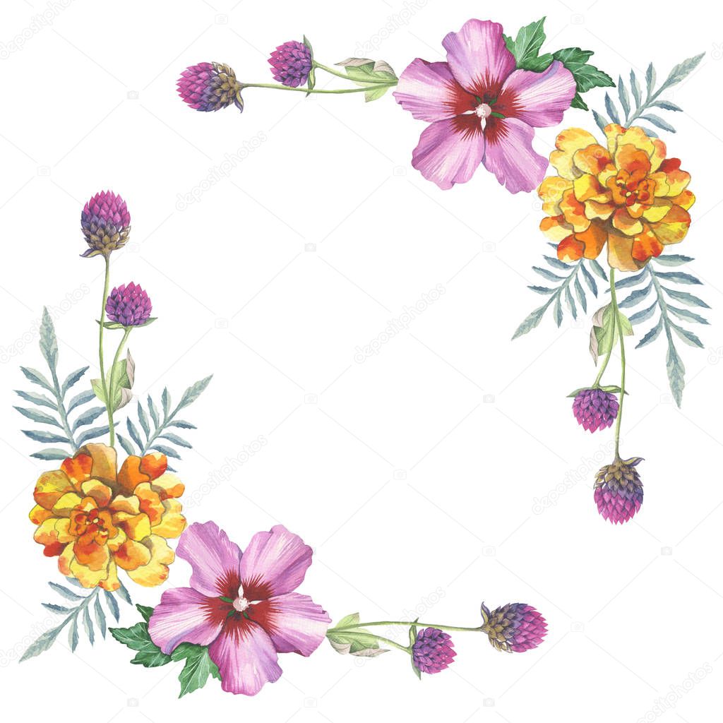 Hibiscus rose and gomphrena flower wreath frame ornament in watercolor drawing.
