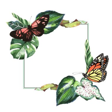Tropikal Hawaii palmiye ağacı ve kelebekler çerçeve izole bir suluboya tarzında bırakır..