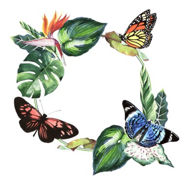 Tropikal Hawaii palmiye ağacı ve kelebekler çerçeve izole bir suluboya tarzında bırakır..