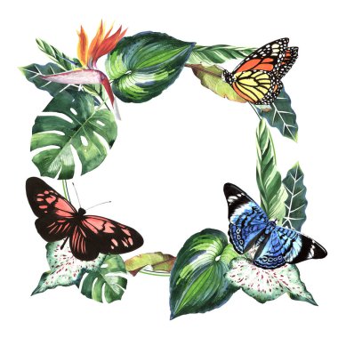 Tropikal Hawaii palmiye ağacı ve kelebekler çerçeve izole bir suluboya tarzında bırakır..