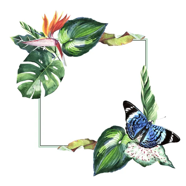 Tropical Hawaii leaves palm tree and butterflies frame in a watercolor style isolated. — Stock Photo, Image