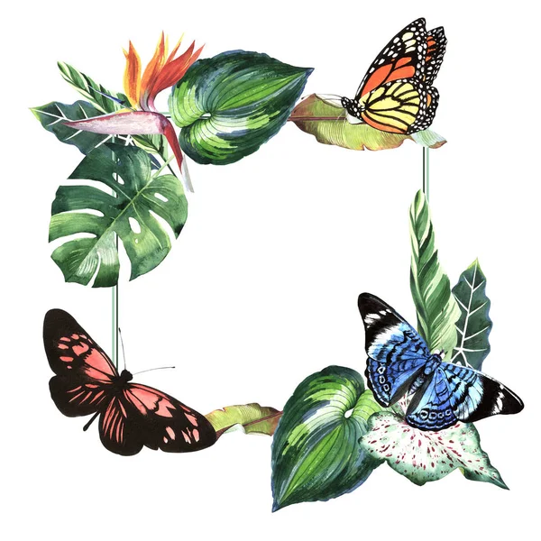 Tropical Hawaii deixa palmeira e borboletas quadro em um estilo aquarela isolado . — Fotografia de Stock
