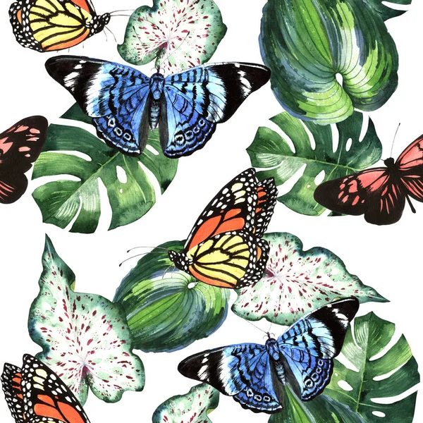 Tropische Hawaii Blätter Palme und Schmetterlinge Muster in einem Aquarell-Stil isoliert. — Stockfoto
