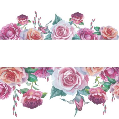 Kır çiçeği gül çiçek çerçeve izole bir suluboya tarzında.