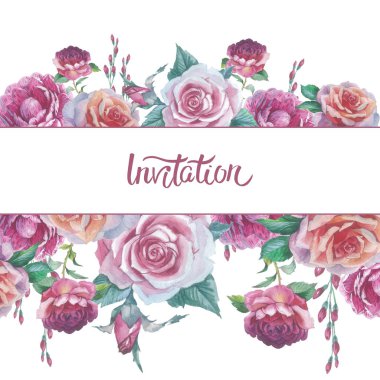 Kır çiçeği gül çiçek çerçeve izole bir suluboya tarzında.