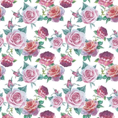 Kır çiçeği gül çiçek deseni izole bir suluboya tarzında.