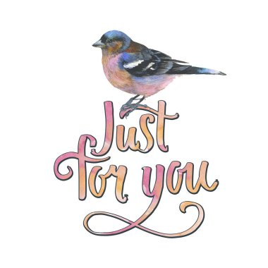 Gökyüzü kuş sparrow suluboya Style izole bir yaban hayatı.