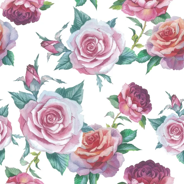 Wildblume Rose Blumenmuster in einem Aquarell-Stil isoliert. — Stockfoto