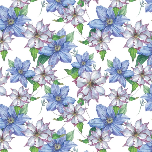 Wildflower clematis kwiatki w stylu przypominającym akwarele na białym tle. — Zdjęcie stockowe