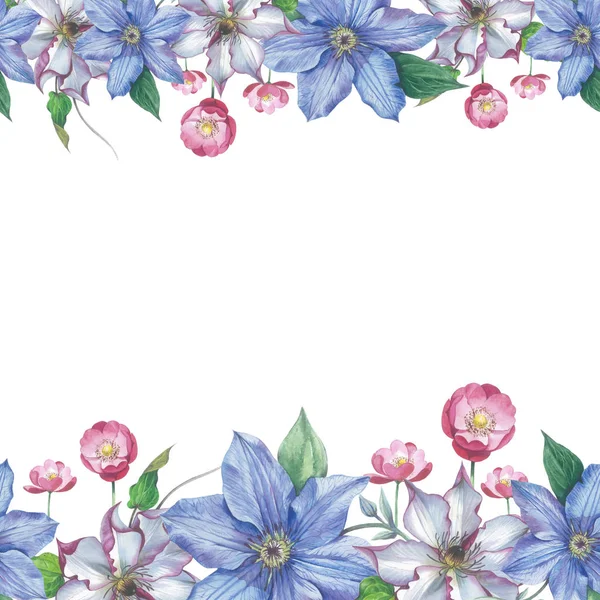 Wildflower clematis kwiat rama w stylu przypominającym akwarele na białym tle. — Zdjęcie stockowe