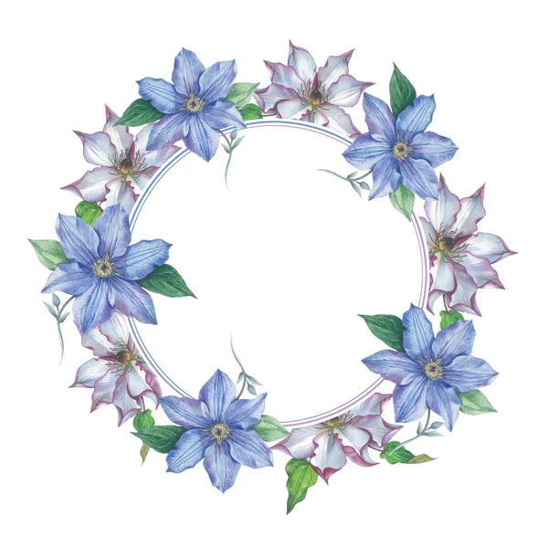 分離された水彩画のワイルドフラワー クレマチスの花の花輪. — ストック写真