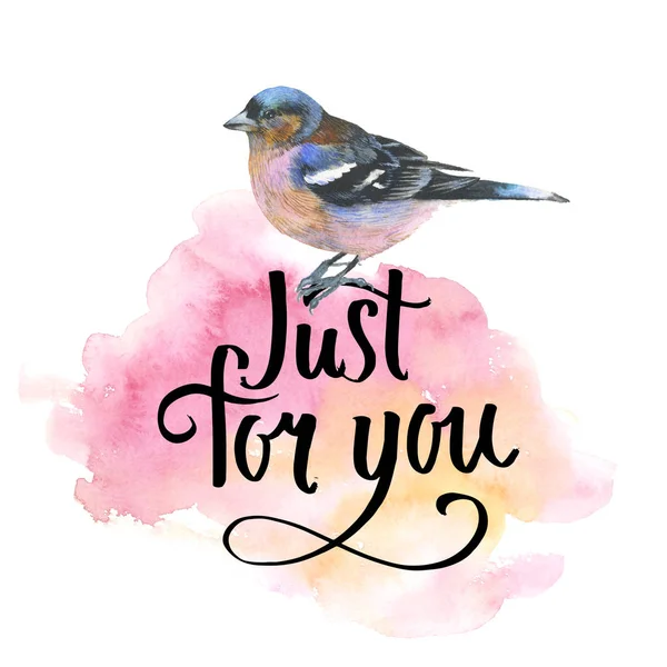 Gökyüzü kuş sparrow suluboya Style izole bir yaban hayatı.