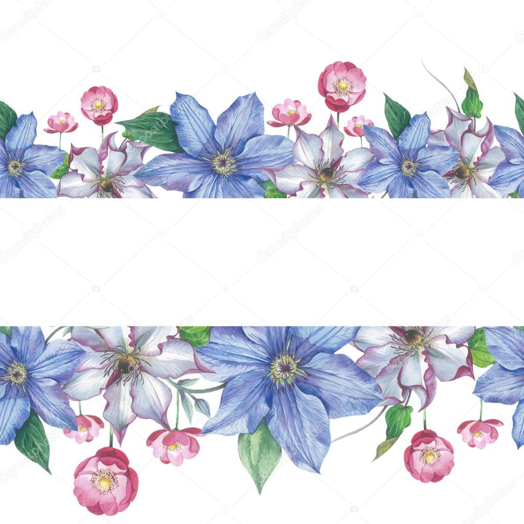 Wildflower clematis flower frame in a watercolor style isolated.