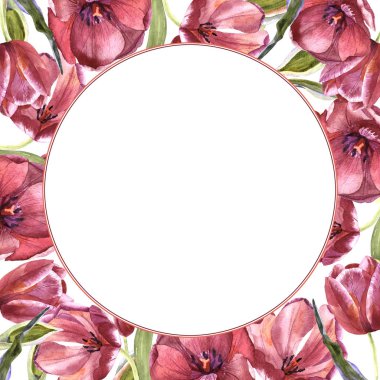 Kır çiçeği Lale çiçek çerçeve izole bir suluboya tarzında.