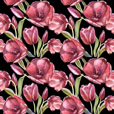 Kır çiçeği Lale çiçek deseni izole bir suluboya tarzında.