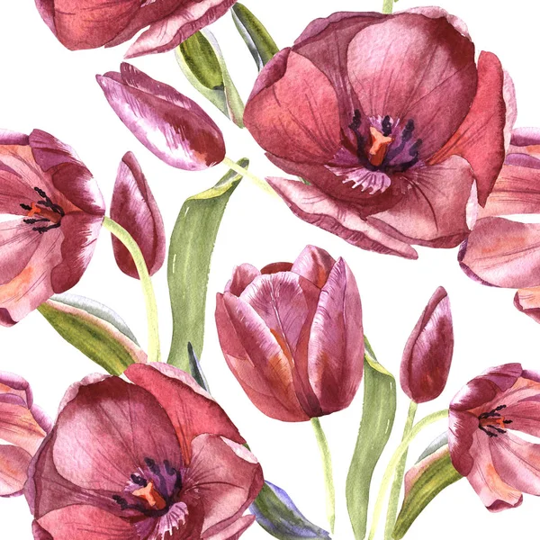 Wildflower tulip flower pattern in a watercolor style isolated.