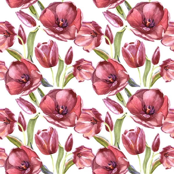 分離された水彩画のワイルドフラワー チューリップ花のパターン. — ストック写真