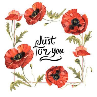 Kır çiçeği haşhaş çiçek çerçeve izole bir suluboya tarzında.