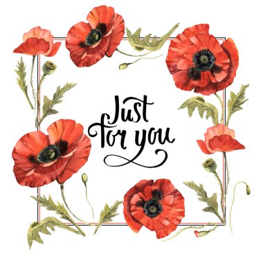 Kır çiçeği haşhaş çiçek çerçeve izole bir suluboya tarzında.