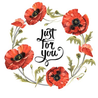 Kır çiçeği haşhaş çiçek çelenk izole bir suluboya tarzında.