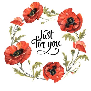 Kır çiçeği haşhaş çiçek çelenk izole bir suluboya tarzında.