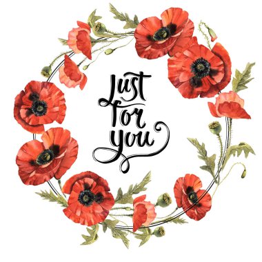 Kır çiçeği haşhaş çiçek çelenk izole bir suluboya tarzında.