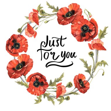 Kır çiçeği haşhaş çiçek çelenk izole bir suluboya tarzında.