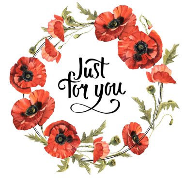 Kır çiçeği haşhaş çiçek çelenk izole bir suluboya tarzında.