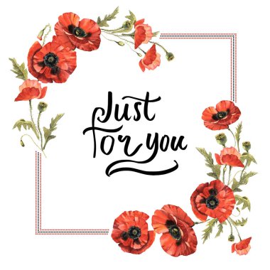 Kır çiçeği haşhaş çiçek çerçeve izole bir suluboya tarzında.