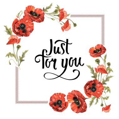 Kır çiçeği haşhaş çiçek çerçeve izole bir suluboya tarzında.