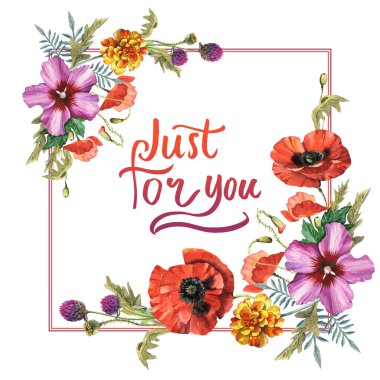 Kır çiçeği haşhaş çiçek çerçeve izole bir suluboya tarzında.