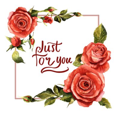 Kır çiçeği gül çiçek çerçeve izole bir suluboya tarzında.