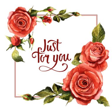 Kır çiçeği gül çiçek çerçeve izole bir suluboya tarzında.