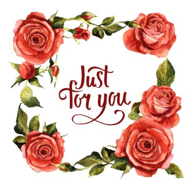 Kır çiçeği gül çiçek çerçeve izole bir suluboya tarzında.