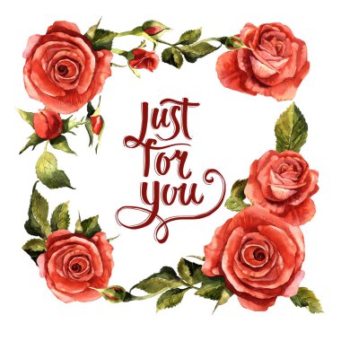 Kır çiçeği gül çiçek çerçeve izole bir suluboya tarzında.